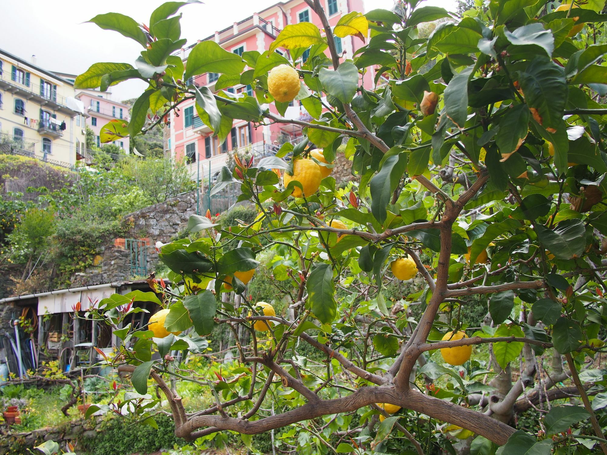 Ciao Bella Rainbow Hotel Riomaggiore Luaran gambar